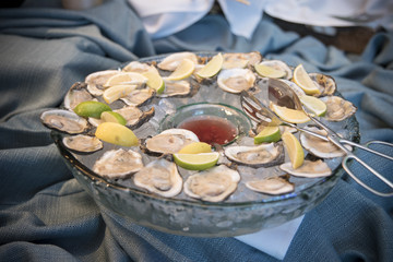 Oysters tray