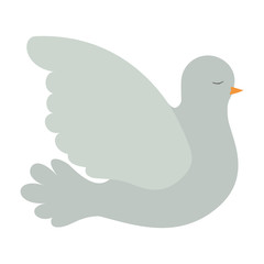 pigeon peace side view on colorful silhouette