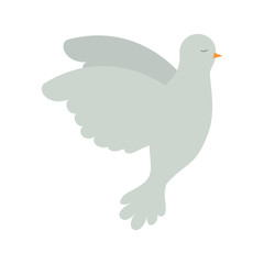 pigeon peace flying in side view on colorful silhouette