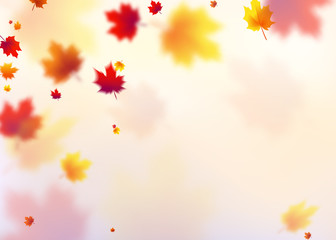 Naklejka na ściany i meble Vector illustration autumn flying red, orange, brown, yellow maple leaves