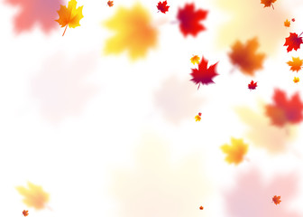 Fototapeta na wymiar Vector illustration autumn flying red, orange, brown, yellow maple leaves