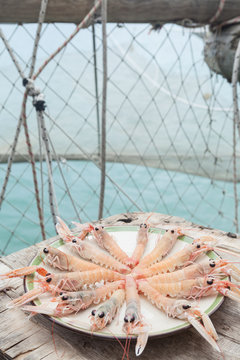 Fresh scampi