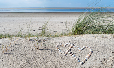 Romantik, Liebe, Flitterwochen, Hochzeitsreise: Zwei Muschelherzen im Sand am Meer :)