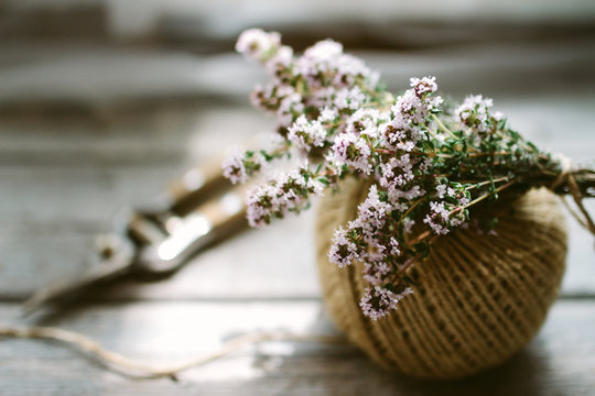 A bunch of flowering, fresh, Thyme