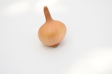 Yellow Onion isolated
