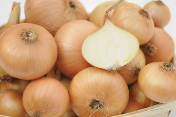 Yellow Onion isolated