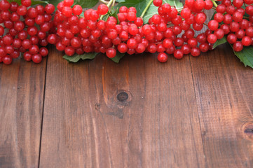 red viburnum on a wooden table
