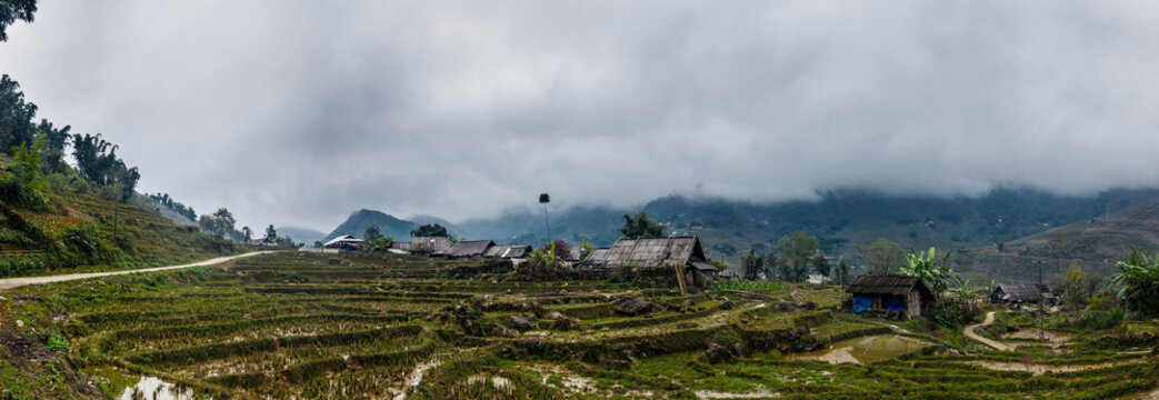 Terraced Rice Field In Vietnam