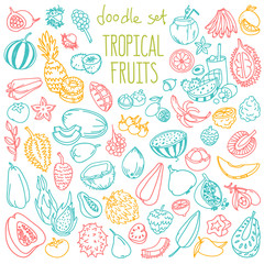 Organic tropical fruits doodle set. Vector drawing isolated on white background.