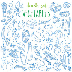 Vegetables doodle set. Green organic products for healthy diet. Vector drawing isolated on white background.