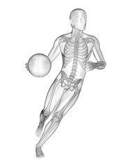 3d rendered medically accurate illustration of a basketball player