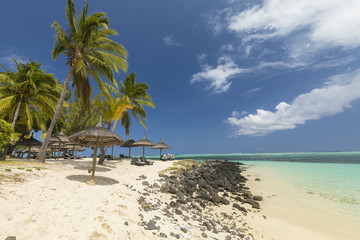 Fototapeta na wymiar White sandy beach, coconut trees and clear blue water in Le Morne, Mauritius