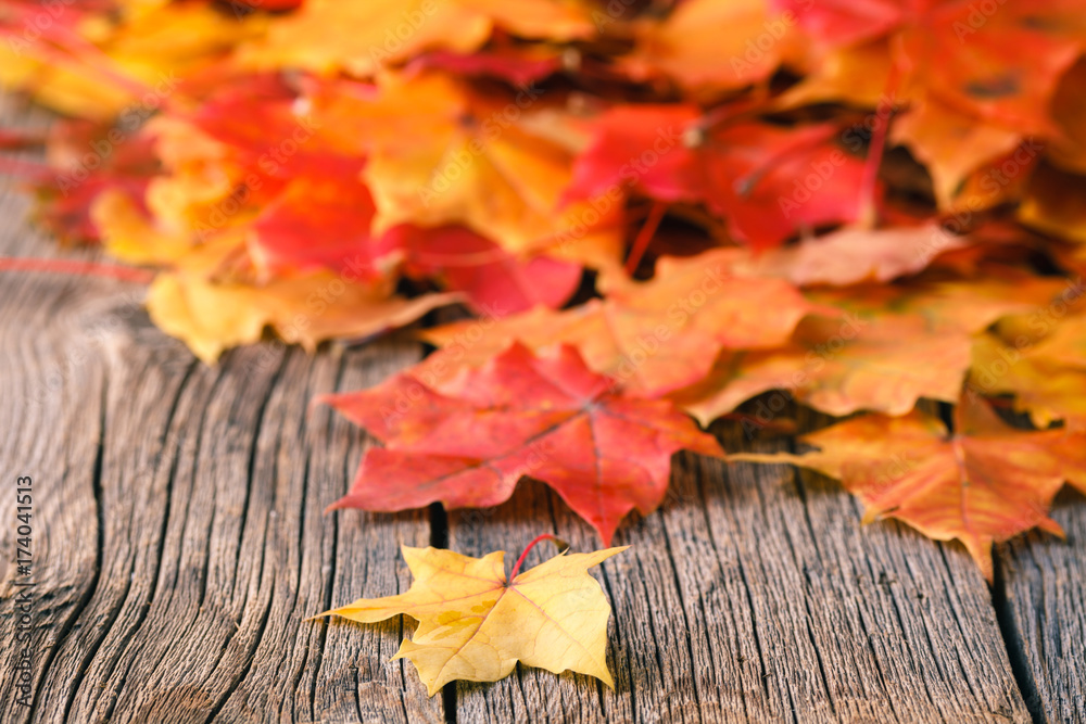 Poster decorative backgrounв frame from fall maple leaves