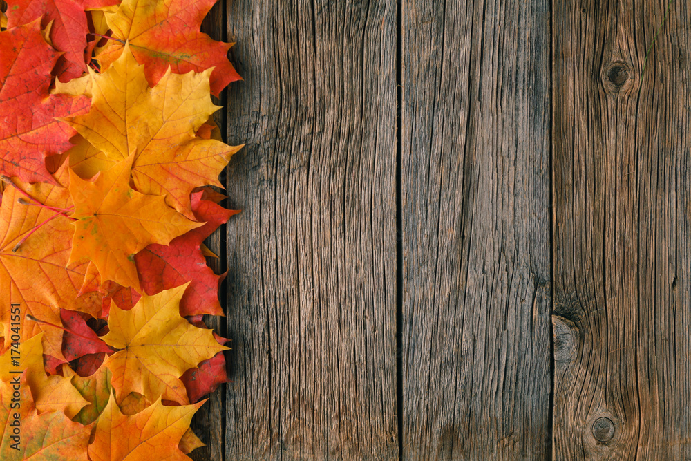 Canvas Prints decorative backgrounв frame from fall maple leaves