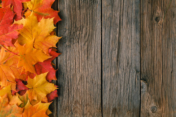 Naklejka na ściany i meble Decorative backgrounв frame from fall maple leaves