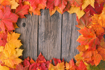 Naklejka na ściany i meble Decorative backgrounв frame from fall maple leaves