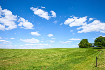 Prairie au printemps en France