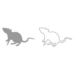 Rat it is black icon .