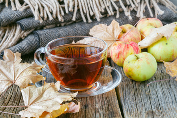 Hot tea with apple in autumn day
