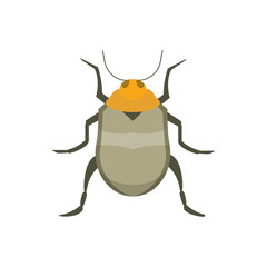 insect flat style vector design icons. nature beetle cartoon illustration