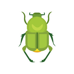 insect flat style vector design icons. nature beetle cartoon illustration