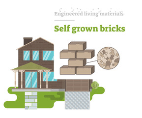Fototapeta na wymiar Self Grown Bricks - Engineered Living Material 