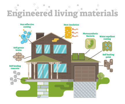 Engineered Living Materials Set