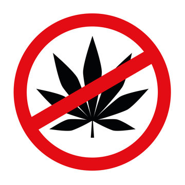 cannabis verbot