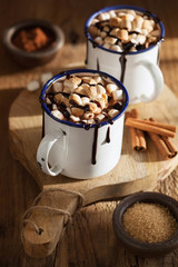 s'mores hot chocolate mini marshmallows cinnamon winter drink