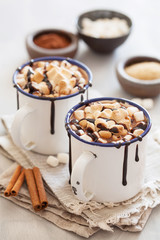 s'mores hot chocolate mini marshmallows cinnamon winter drink