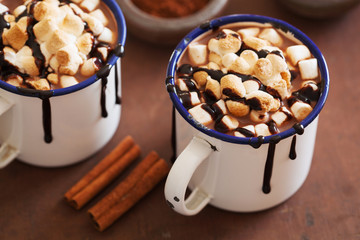 s'mores hot chocolate mini marshmallows cinnamon winter drink