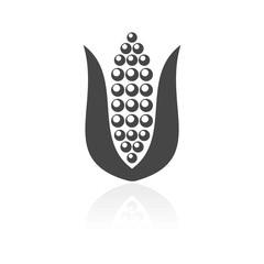 Corn icon