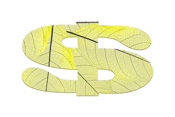 Leaf textured symbol  in a 3D illustration  on a white background