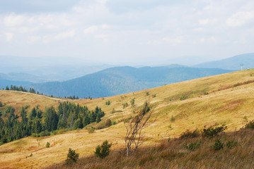 Fototapeta na wymiar Mountain landscape in Carpathian