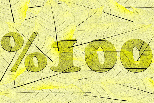 Leaf textured discount promotion sale  in a 3D illustration on a leaf background
