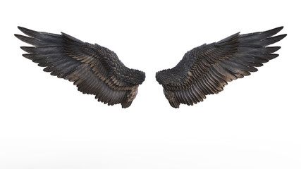 Fototapeta na wymiar 3d Illustration Demon Wings, Black Wing Plumage Isolated on White Background