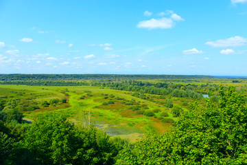 Fototapeta na wymiar Desna River with its marshy surroundings