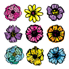Hand drawn doodle flowers and leaves. Vector summer illustration. Vector spring floral illustration. © jane55