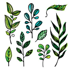 Hand drawn doodle flowers and leaves. Vector summer illustration. Vector spring floral illustration.
