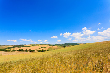 Tuscany hills landscape, Italy