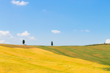 Tuscany hills landscape, Italy