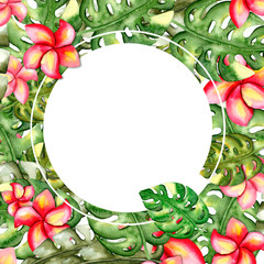 Round tropical frame. Plumeria flowers. Leaves of monsters. 