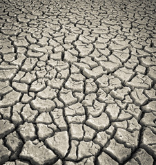 Dry soil
