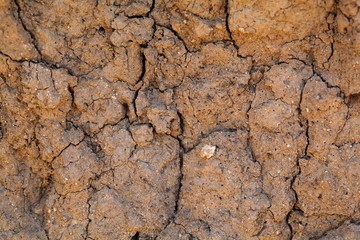 Dry earth with cracks