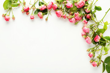Obraz na płótnie Canvas Pink roses on a white background
