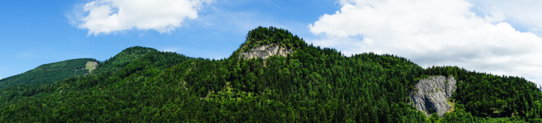 Fototapeta na wymiar panorama of a forest covered mountain range