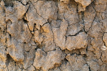 Dry earth with cracks