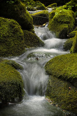Sepetny creek, Beskydy mountains, Czech Republic