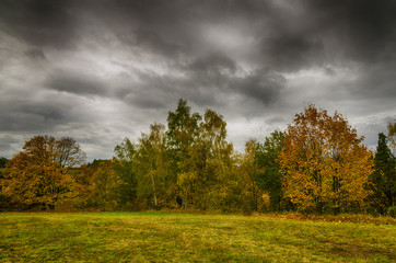 Fototapeta premium Autumn in the country side, Vysocina, Czech Republic