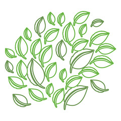 leaf design  vector illustration